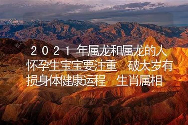 算命2021年运势属龙