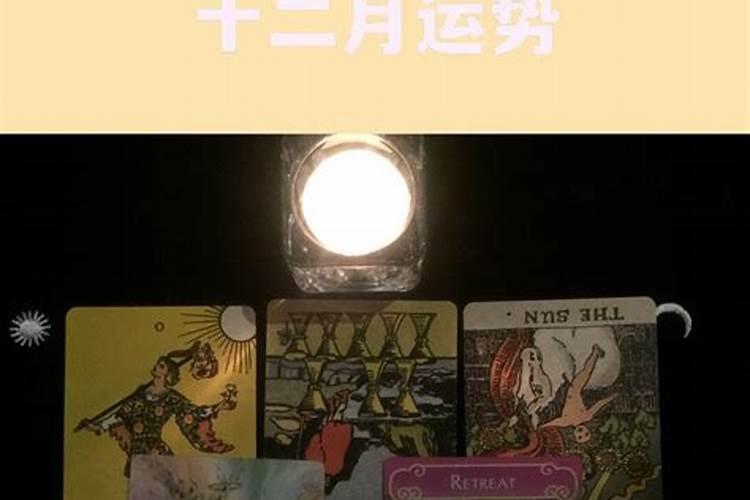 狮子座12月运势每日运势