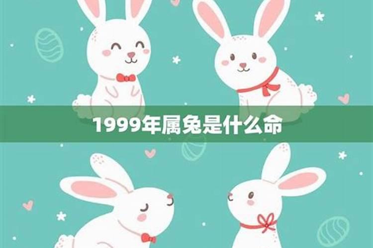 1999属兔和属兔的婚姻如何