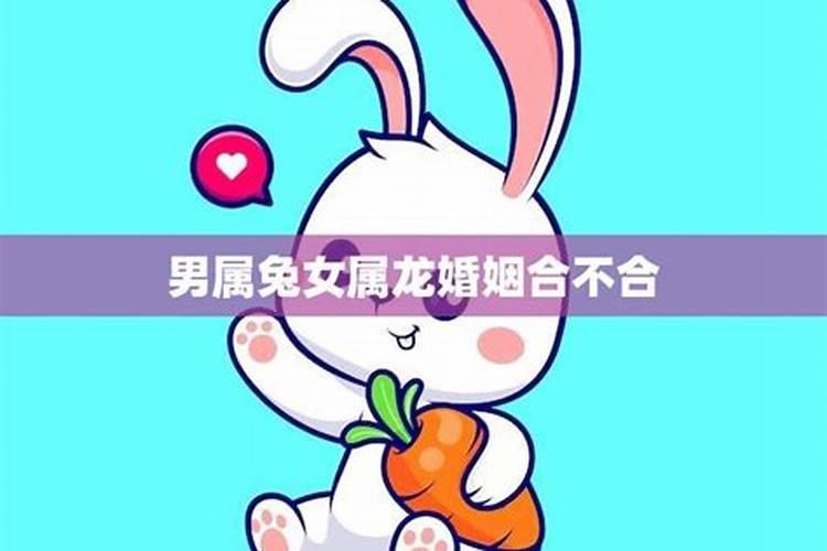 龙和兔婚姻合不合