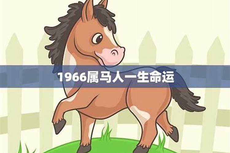 1966马年出生命运和财运