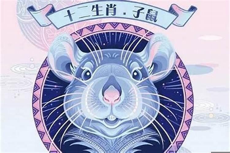 属猪鼠年运势2021年运势详解