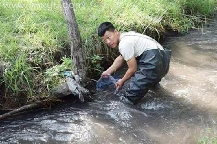 梦见河里抓鱼是什么预兆