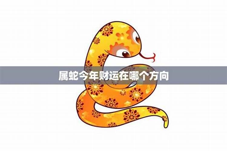 属蛇今年每月的运气如何