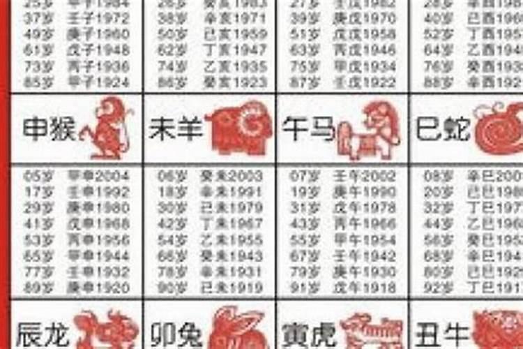 八字算命属兔与属蛇合不合