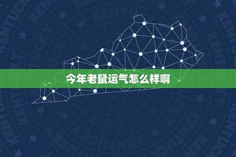 老鼠12月运气怎么样