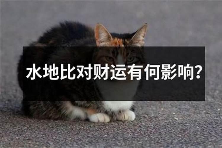 八字到底准不准怎么看