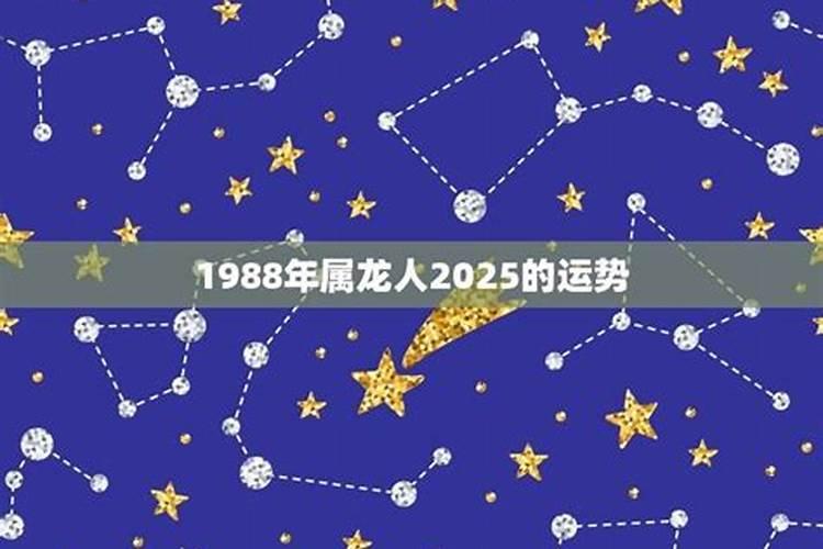 1988年8月属龙人2021年运势运程