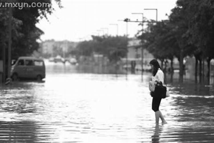 梦见路上都是水水里好多鱼