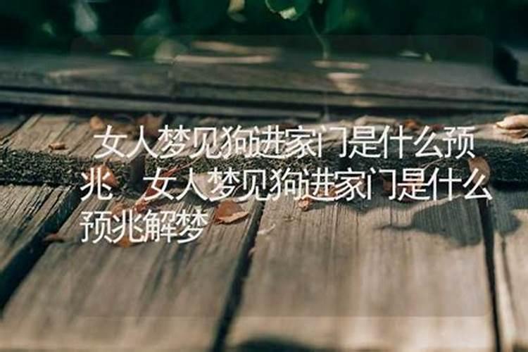 梦见黑狗进家门是什么征兆