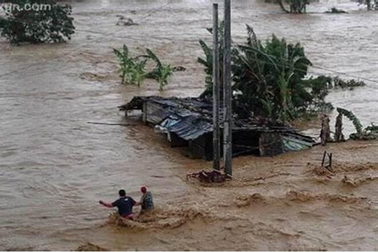 梦见大雨和洪水泛滥