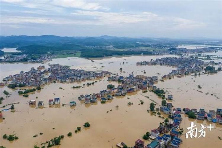 梦见大雨和洪水泛滥