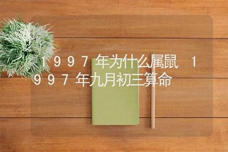 鼠年属97年属牛的运势怎么样