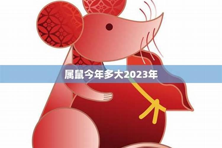 97年属鼠的2021年多大