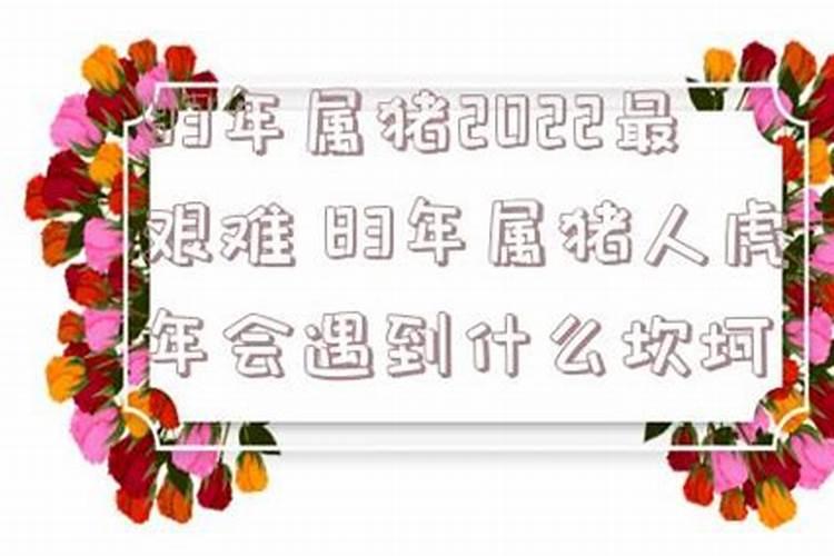 属猪人在虎年婚姻如何