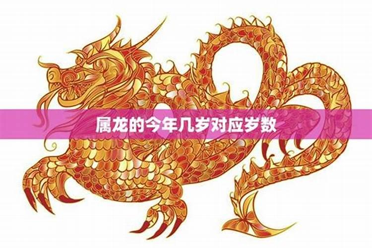 属龙的今年几岁2021