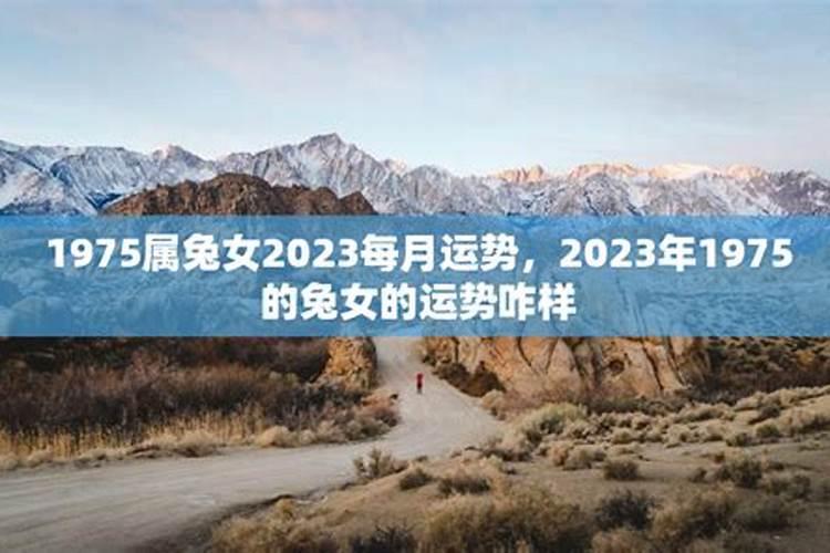 1975兔女在2023年运势