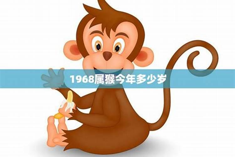 属猴的今年多少岁