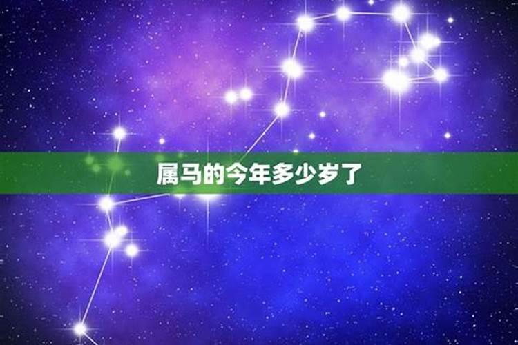 属马的今年几岁2022运气