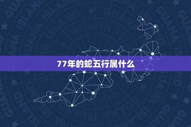 77年的五行是什么命运