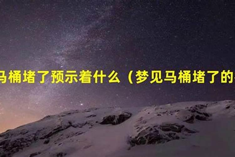 梦见马桶堵了修马桶