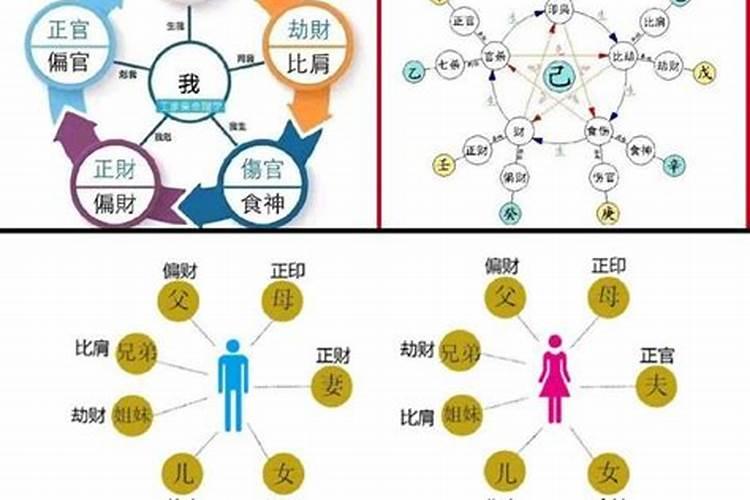 1972鼠年2023年运程本命年