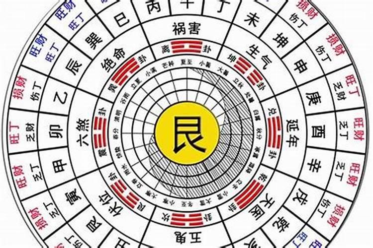 学风水八字得够硬