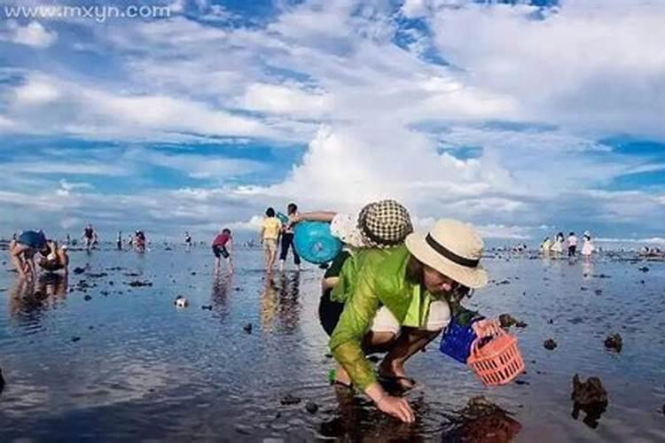 梦见大海里有好多海鲜是什么意思呀女生解梦