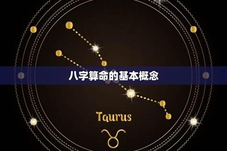 八字算命星