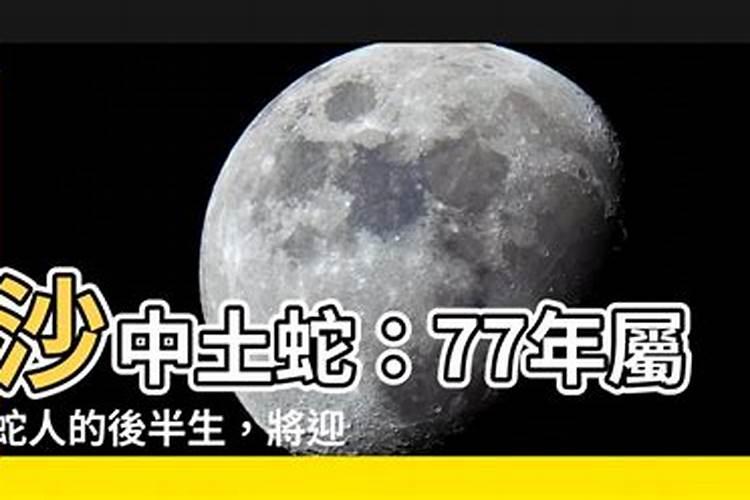 1977年沙中土2023年运势