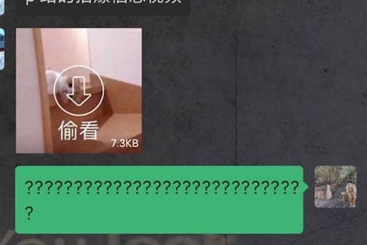 单身梦见女孩找我要联系方式