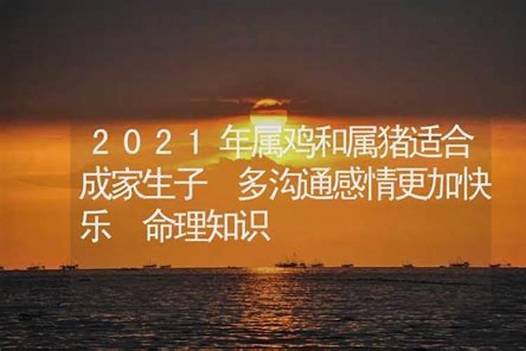 属鸡的2021年生宝宝好吗宝宝