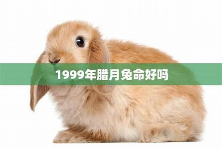 1999腊月27出生的人什么命