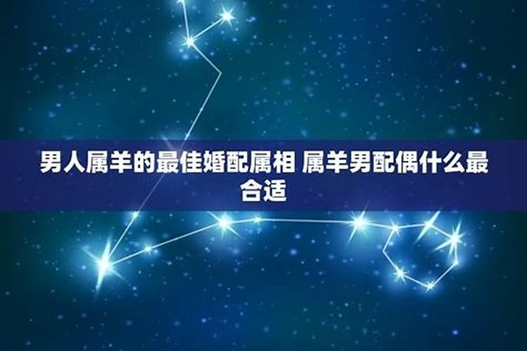 属羊的男最佳婚配是哪个属相呢好吗