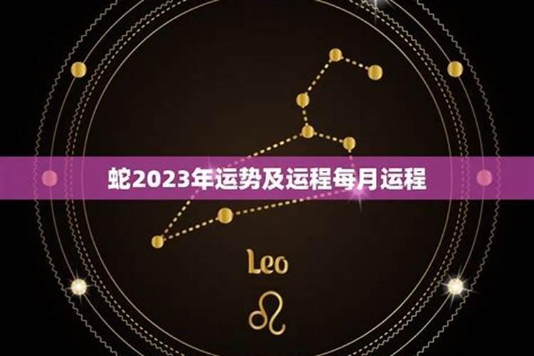 属蛇运势2023年运势每月运程