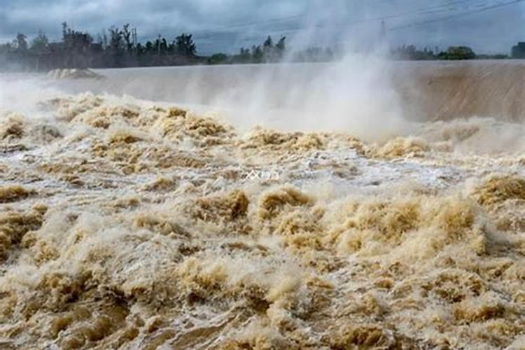 梦见洪水来了在逃生成功