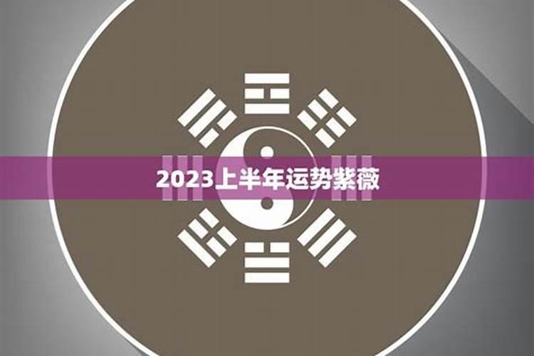 紫微看2023年运势