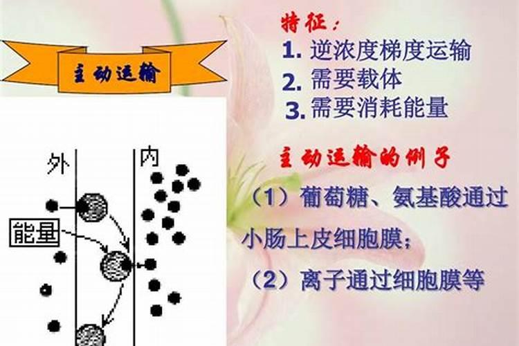 桃花运会给一个人带来好运吗