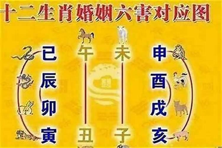 梦到别人建的新房子什么意思周公解梦