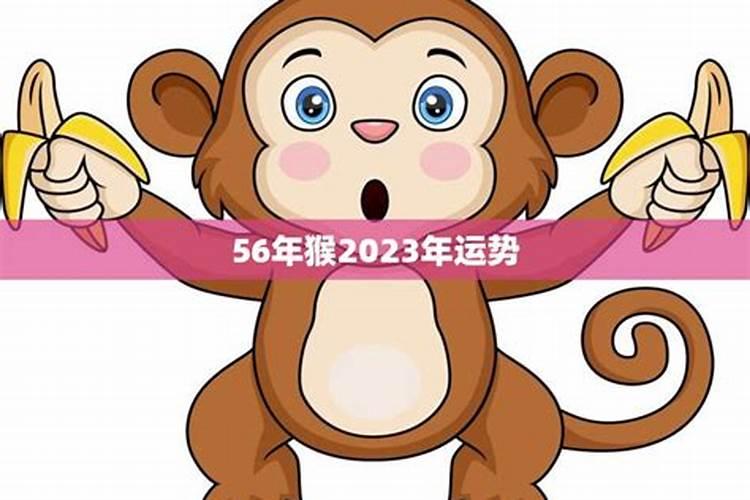 猴运势2023运势如何