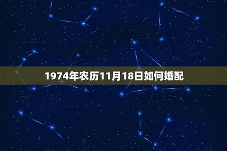 1974年属什么的最佳配