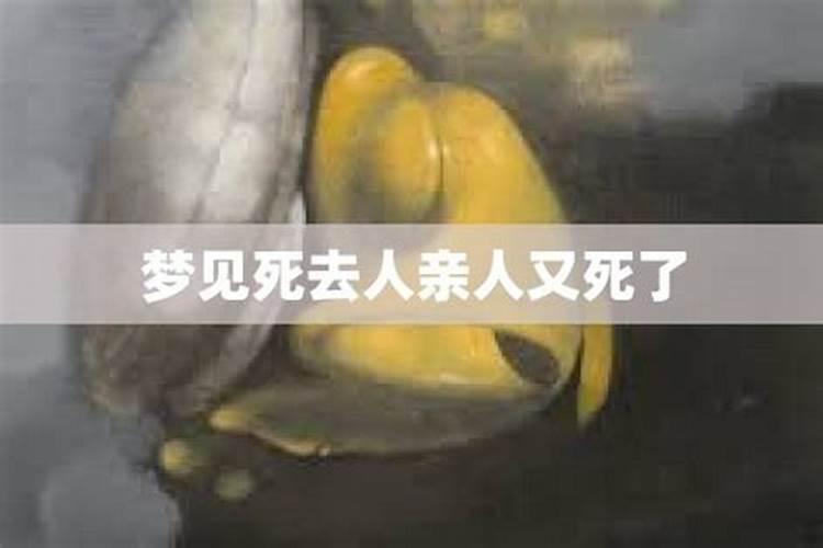 梦到死过的人又死了好不好