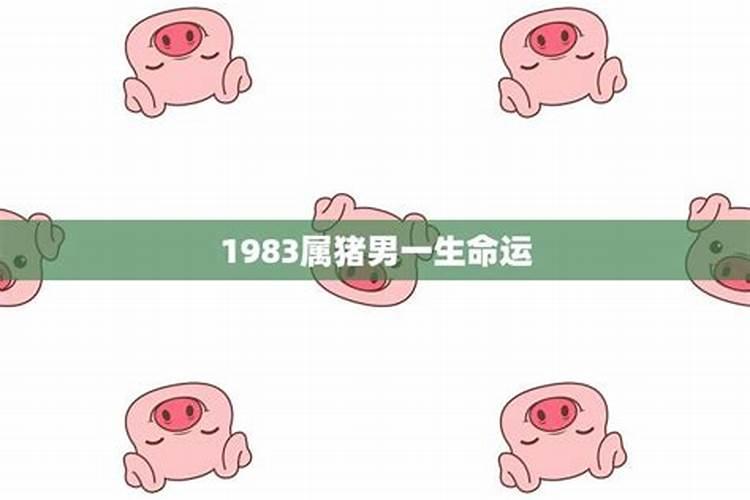 1983属猪人一生运势男性