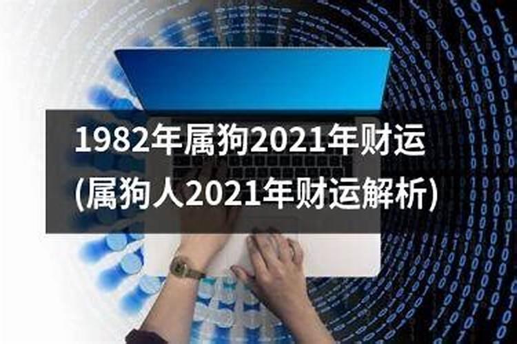 七零年属狗的人2020年运势如何