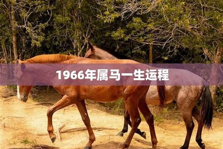 1966年属马的在2022年的运气怎么样