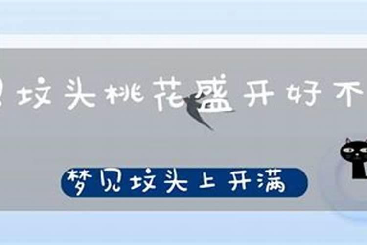 梦见坟地开满鲜花是什么意思周公解梦