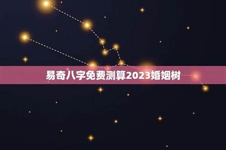 易奇八字免费测算2019婚姻树