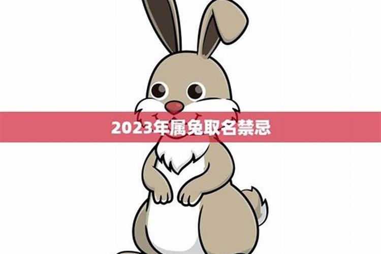 2023年属兔起名