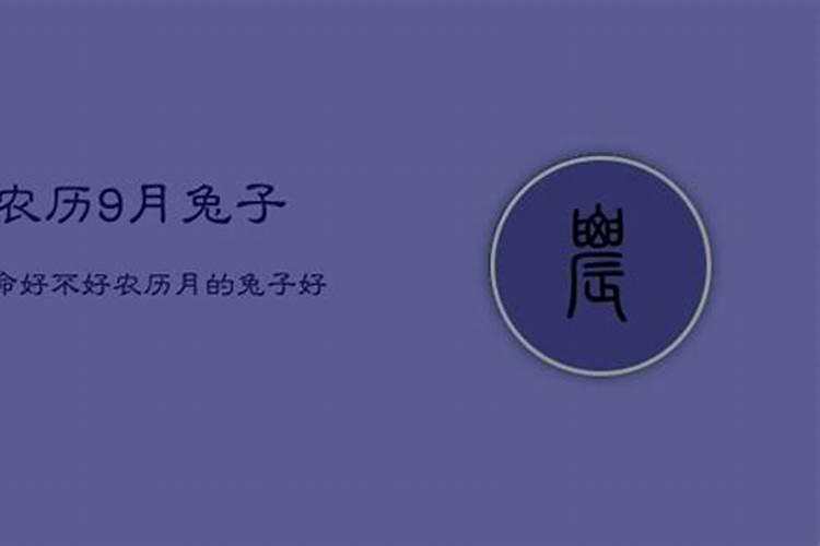 农历9月属兔运气好不好