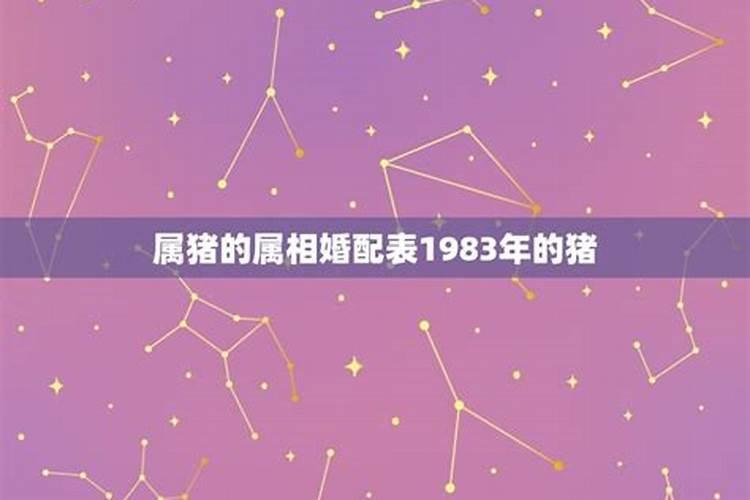 1983年属猪的和属老鼠的般配么